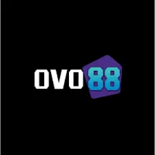 OVO88 - Aplikasi Scanner PDF Terbaik untuk Edukasi